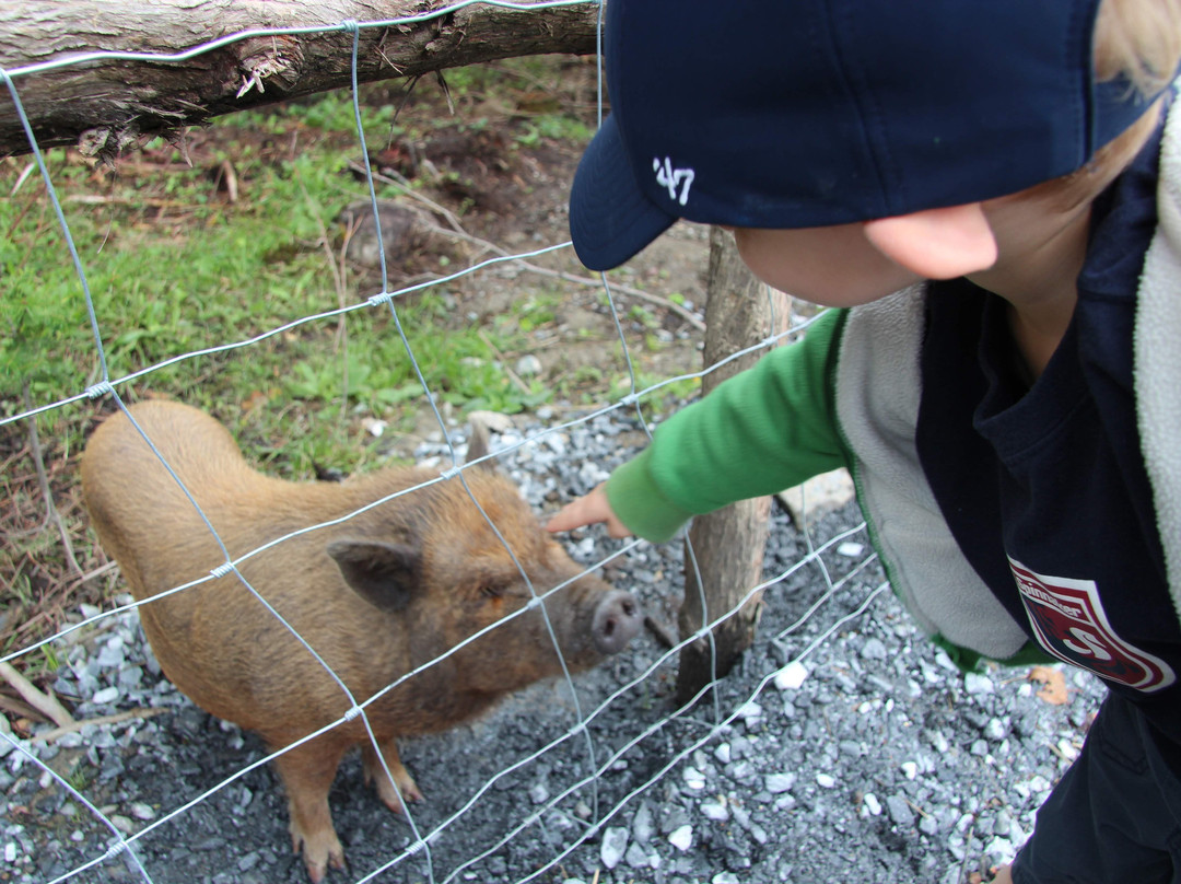 Volieres Baie-St-Paul-Baie-St-Paul必去景点