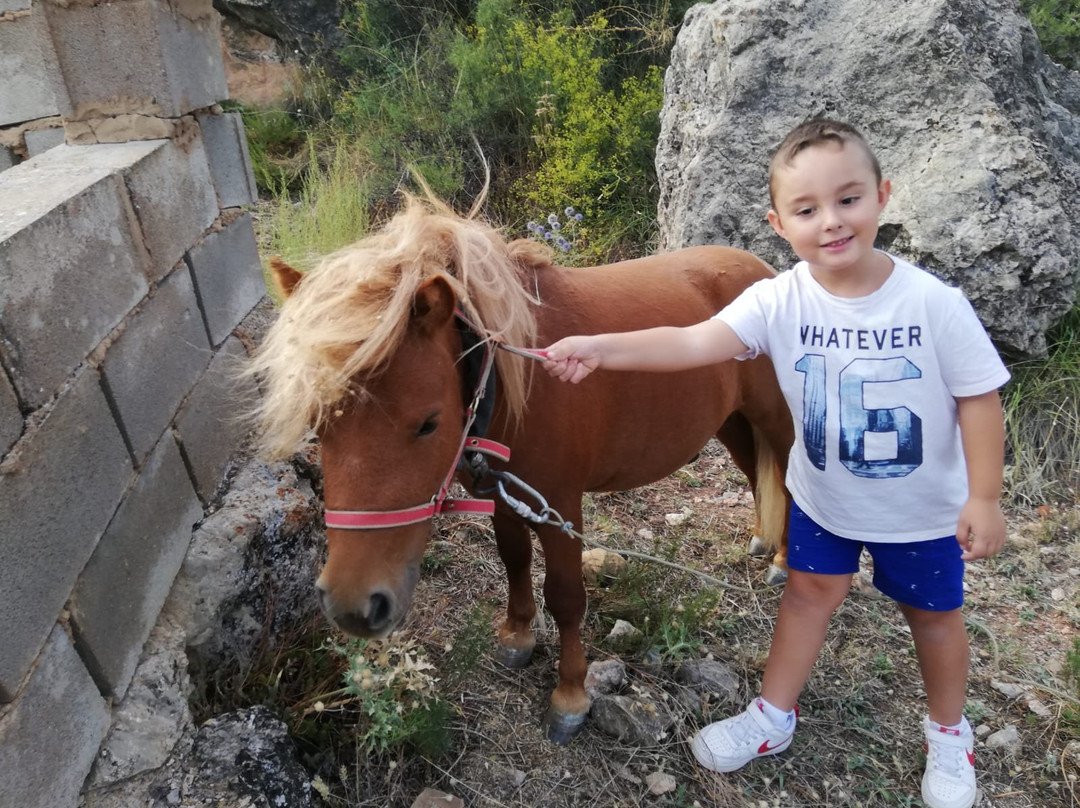 El Castillo de Celia主图