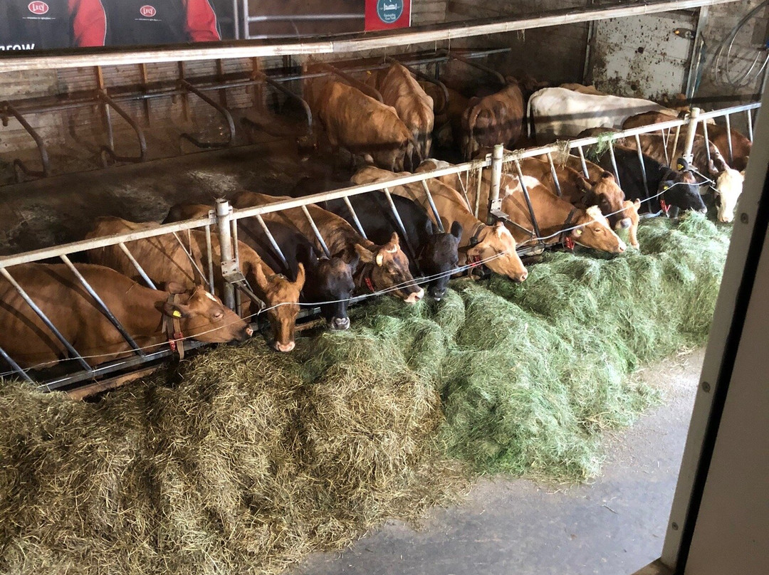 艾弗斯达勒农场酒店主图