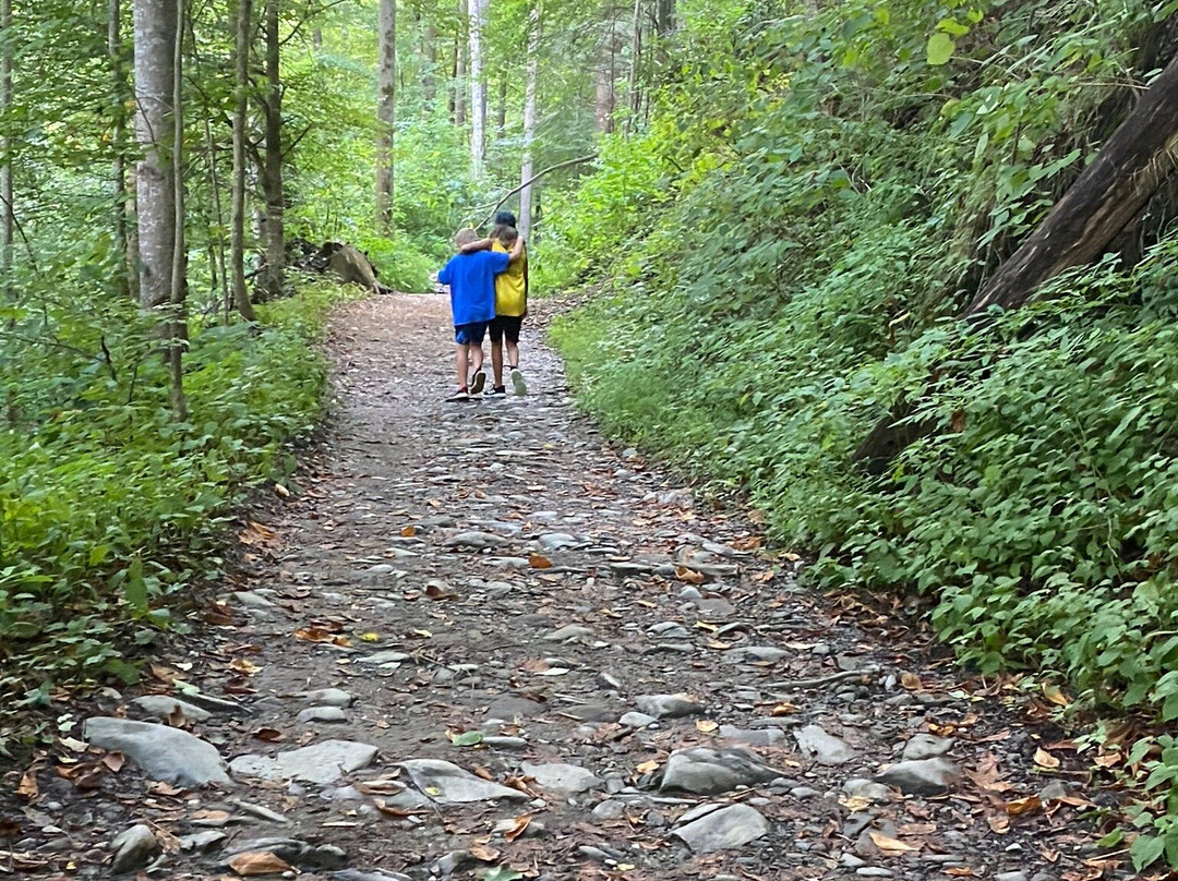 Midnight Hole Falls-大雾山国家公园必去景点