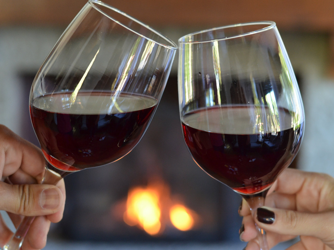 Verona Parque Hotel主图