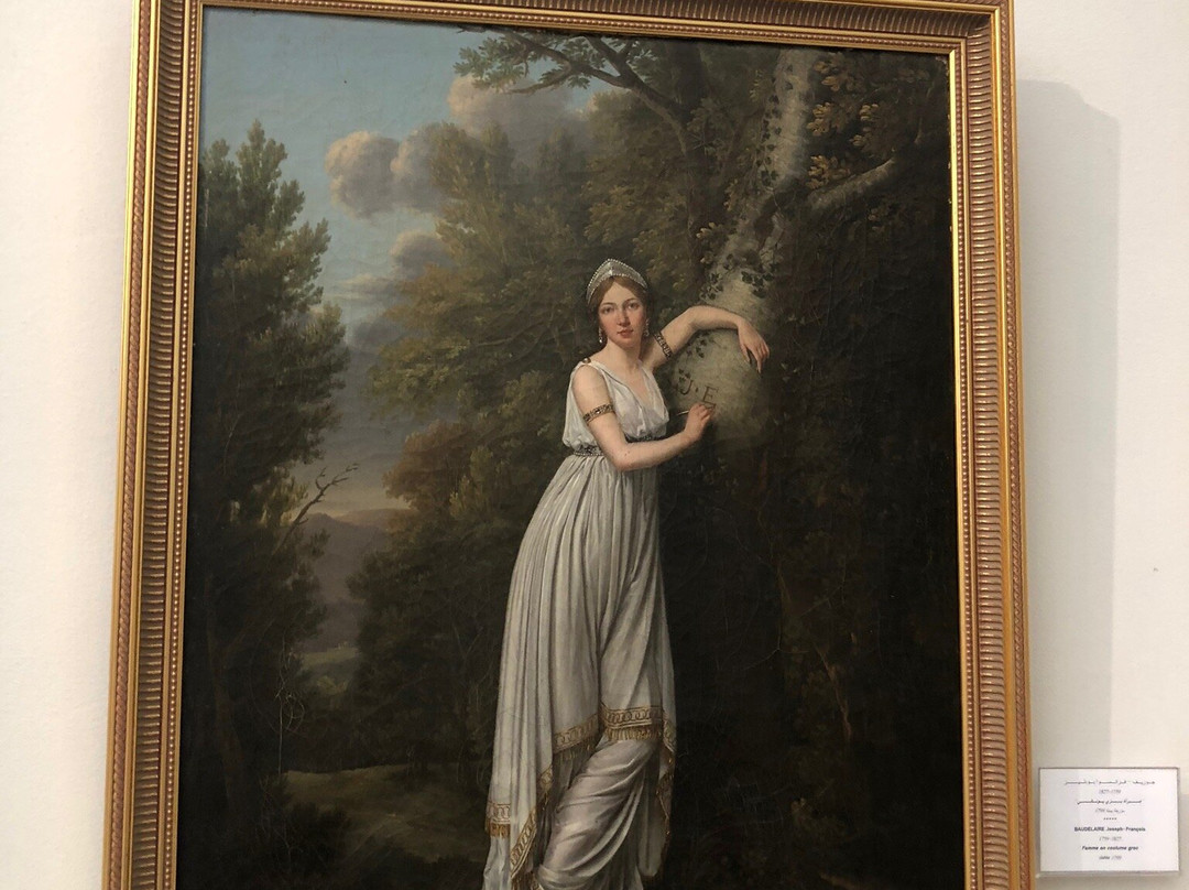 Le Musée National Des Beaux Arts景点图片