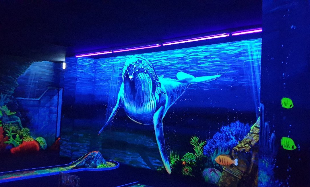 Simigolf 3D Schwarzlicht Indoor Minigolf景点图片
