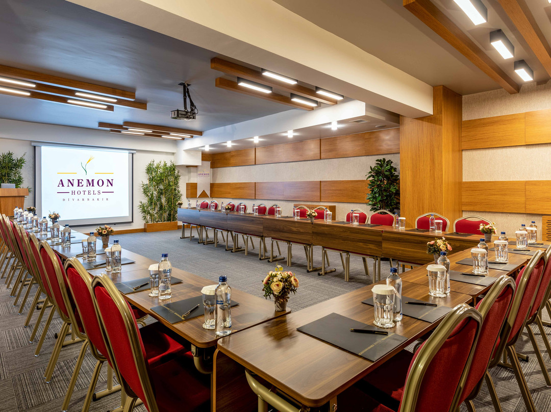 Anemon Diyarbakir主图