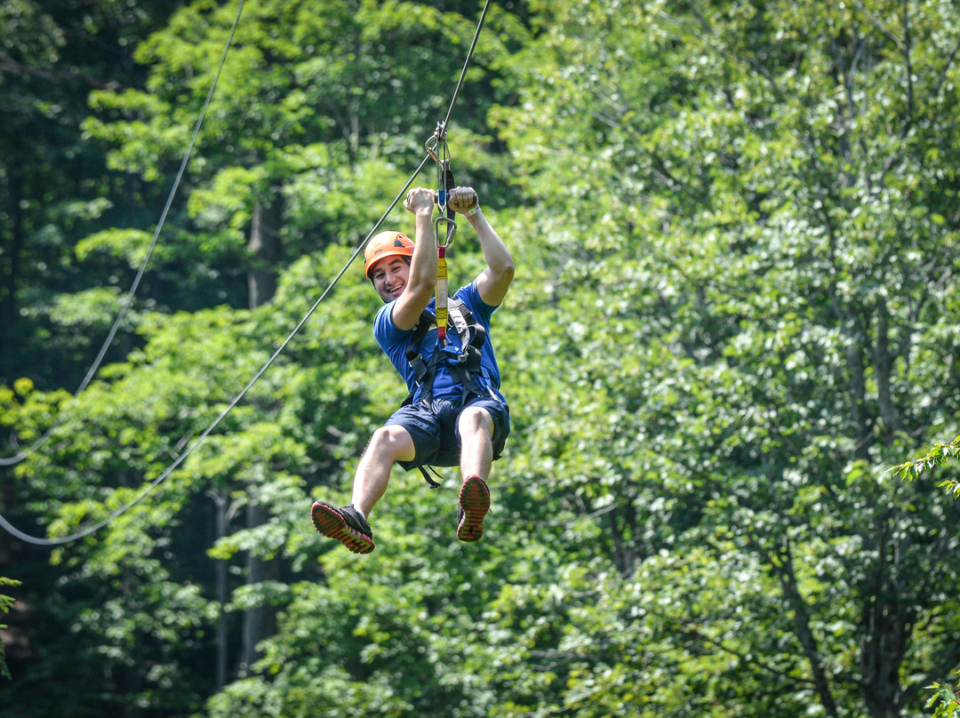 Bristol Mountain Aerial Adventures-卡南代瓜必去景点