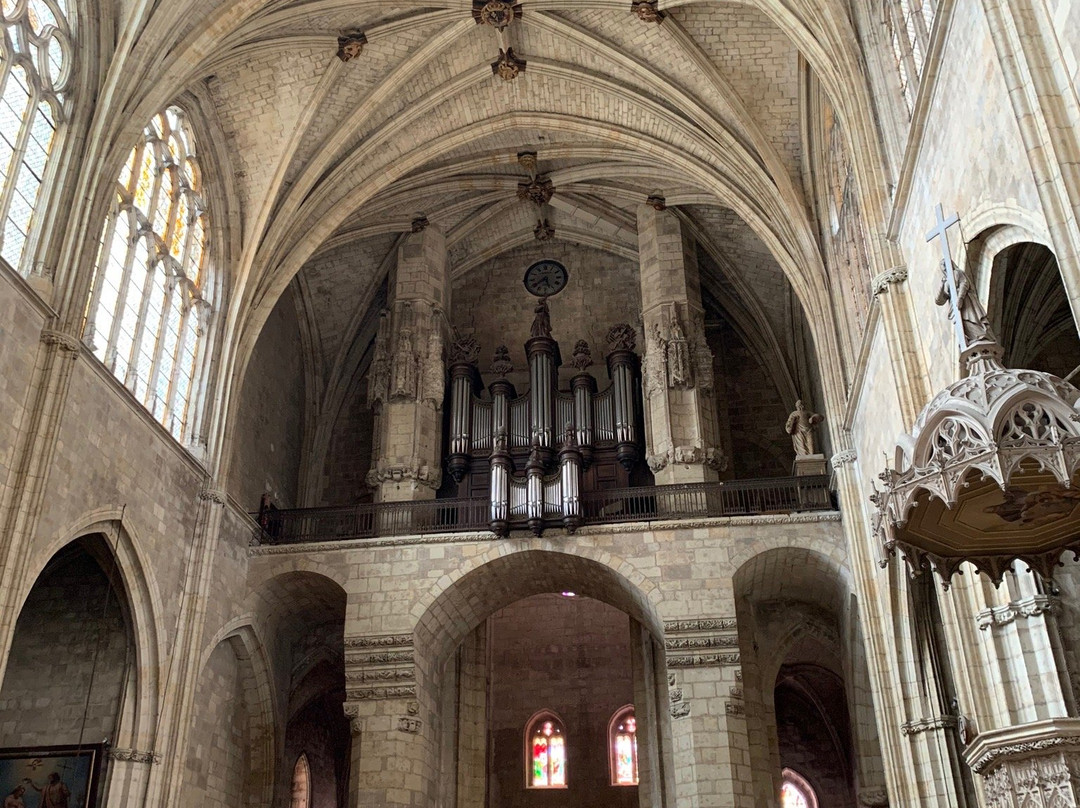 Cathedrale Saint Pierre et son Cloître景点图片