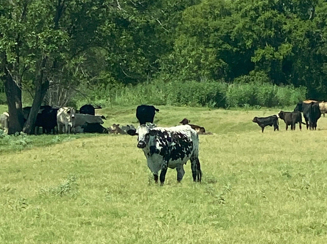 Tri-Star Farm-Hutto必去景点
