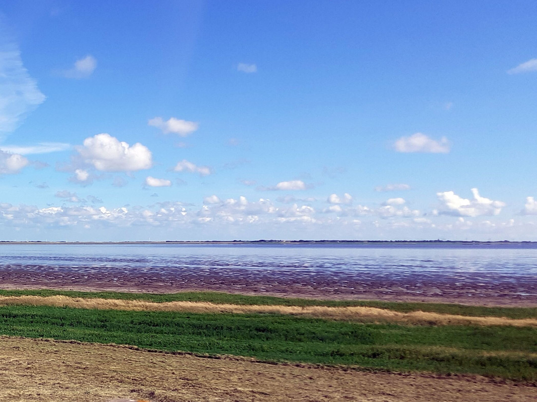 Romo Island景点图片