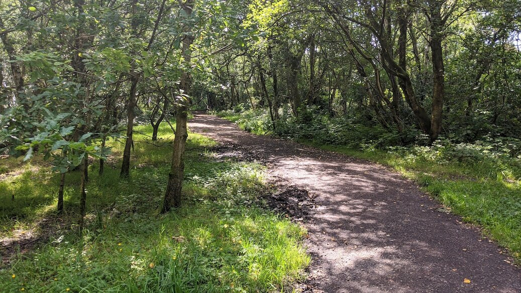 Lenzie Moss-Lenzie必去景点