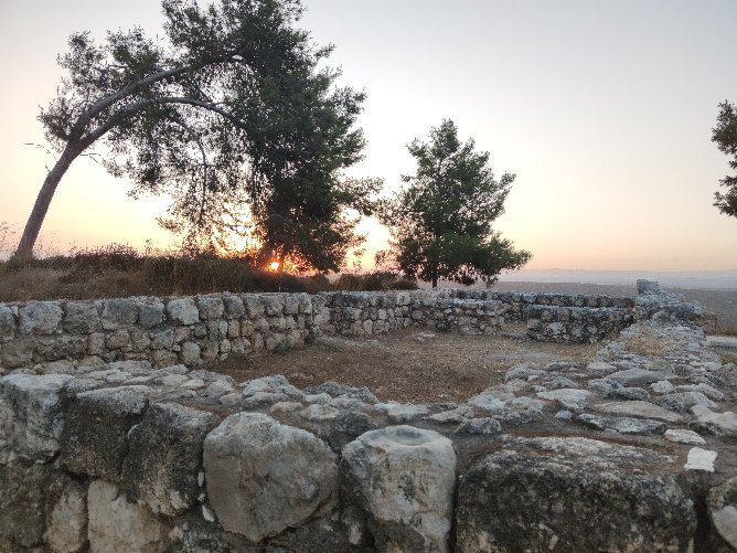 HaMal'akhim Shkharya Forest景点图片