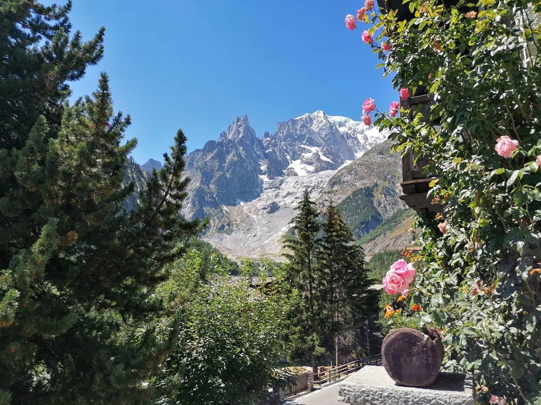 Hotel Meuble Aiguille Noire主图
