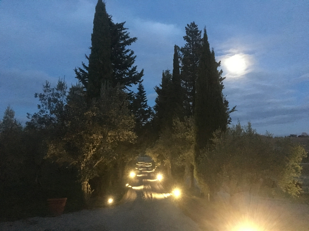 Torre Collevento主图