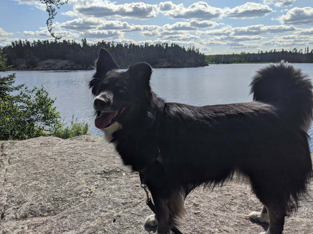 McGillivray Falls Self-guiding Trail-Falcon Lake必去景点
