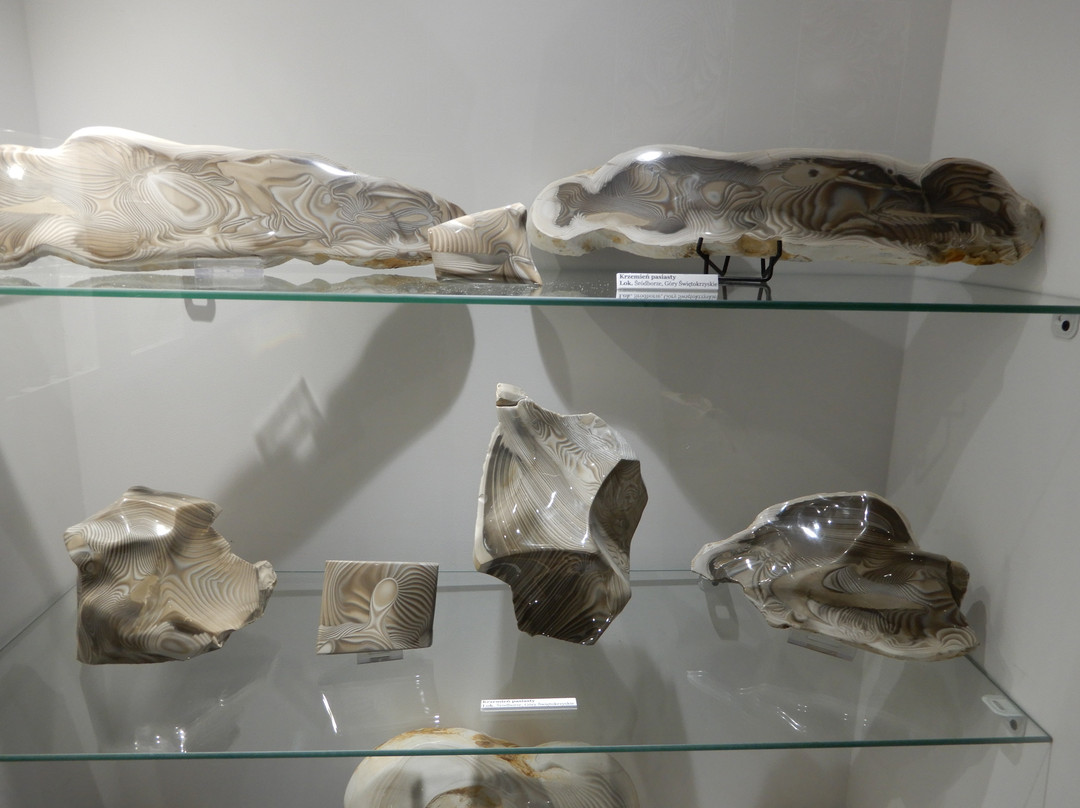 Museum of Minerals and Fossils-Swieta Katarzyna必去景点