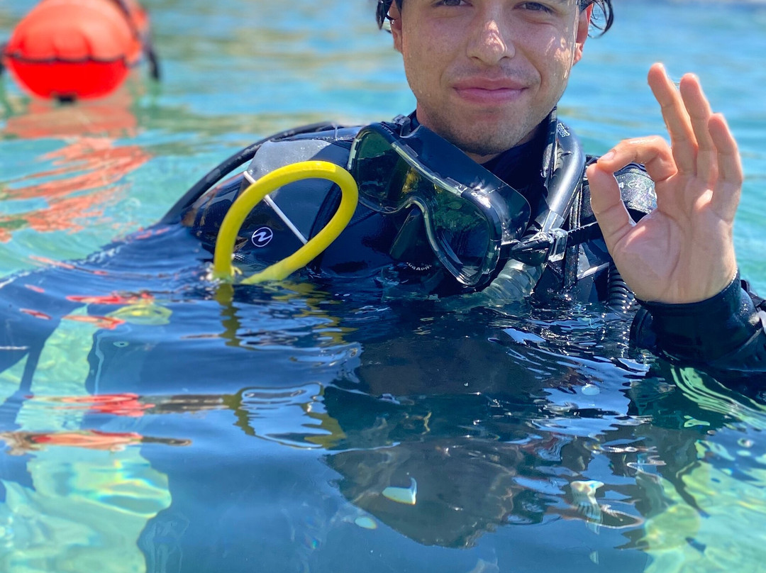 PADI 5 Star Dive Center Crete景点图片