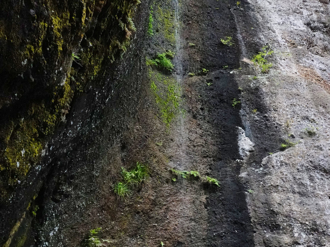Kannon-in Temple-小鹿野町必去景点