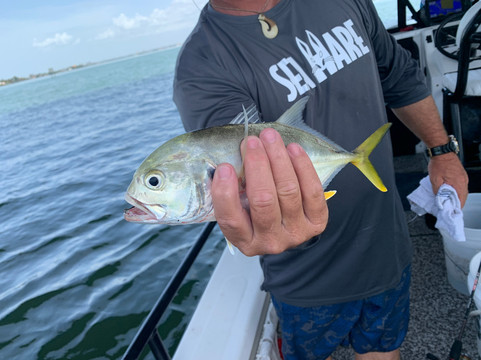 Salty Water Tours, LLC-圣彼得海滩必去景点