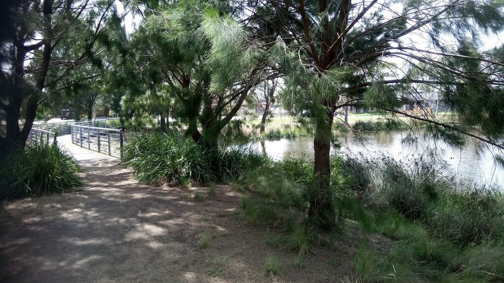 Shearwater Meadow Reserve景点图片
