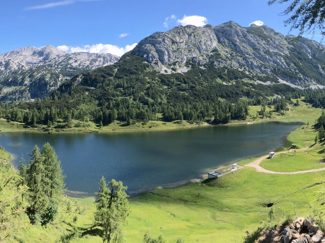 Tauplitzalm Alpenstrasse景点图片