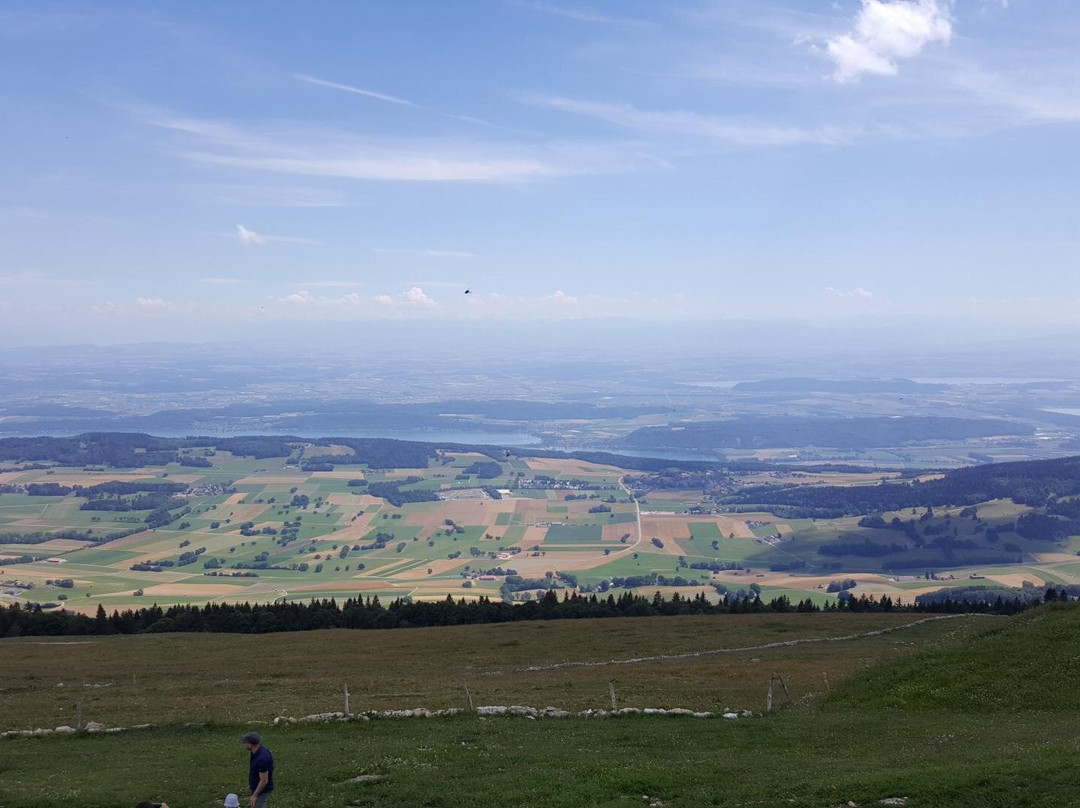 Parc Régional Chasseral景点图片