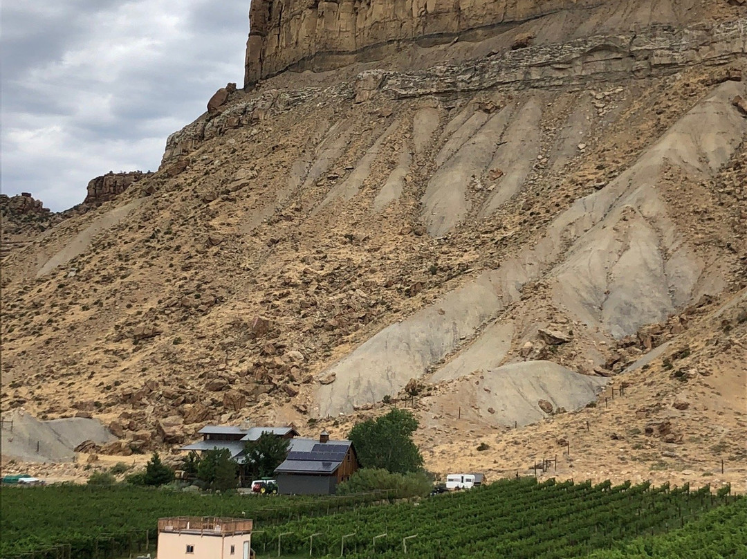 Bookcliff Vineyards-Palisade必去景点