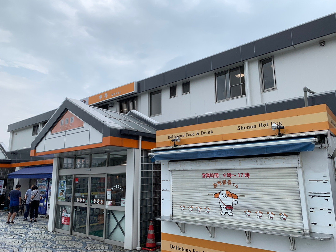 Nakai Parking Area Outbound景点图片