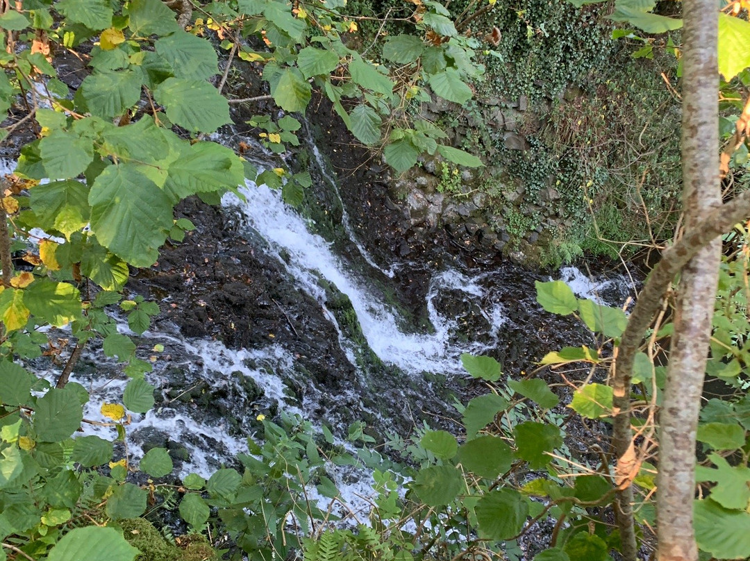 Cascade des Saliens景点图片