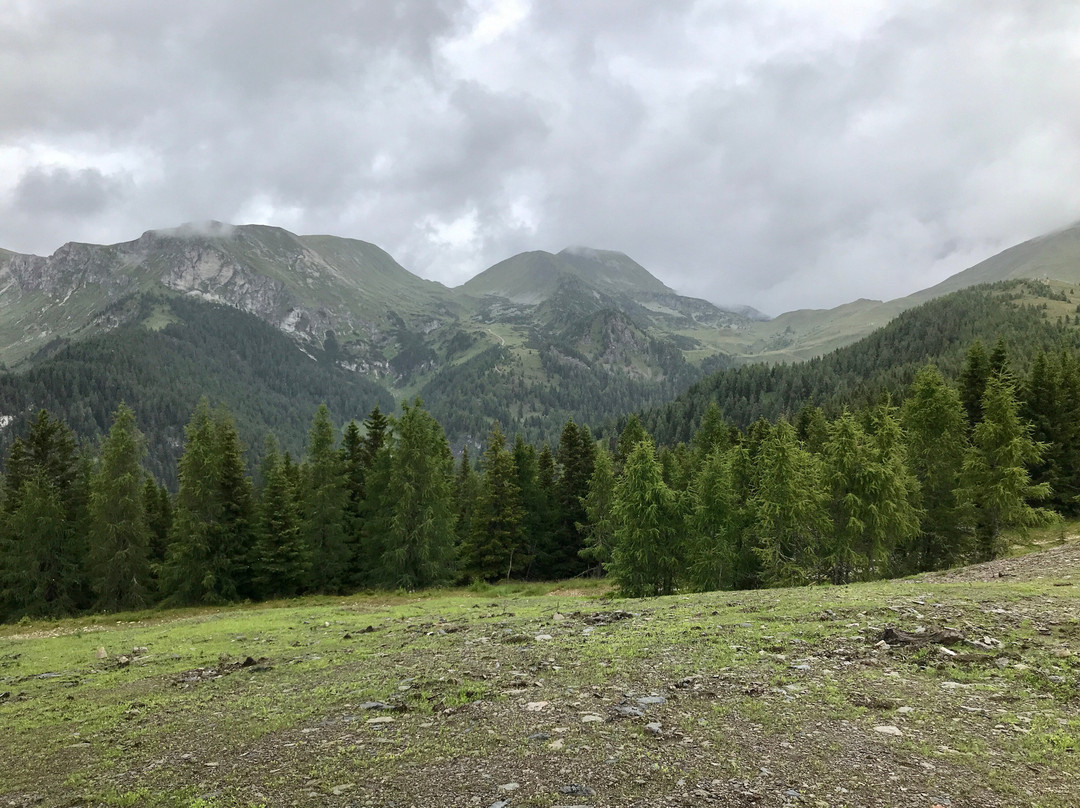 Nockberge景点图片