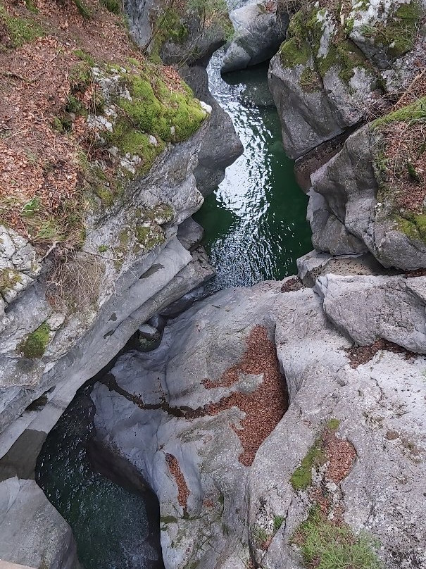 Hängebrücke Leiternweide景点图片
