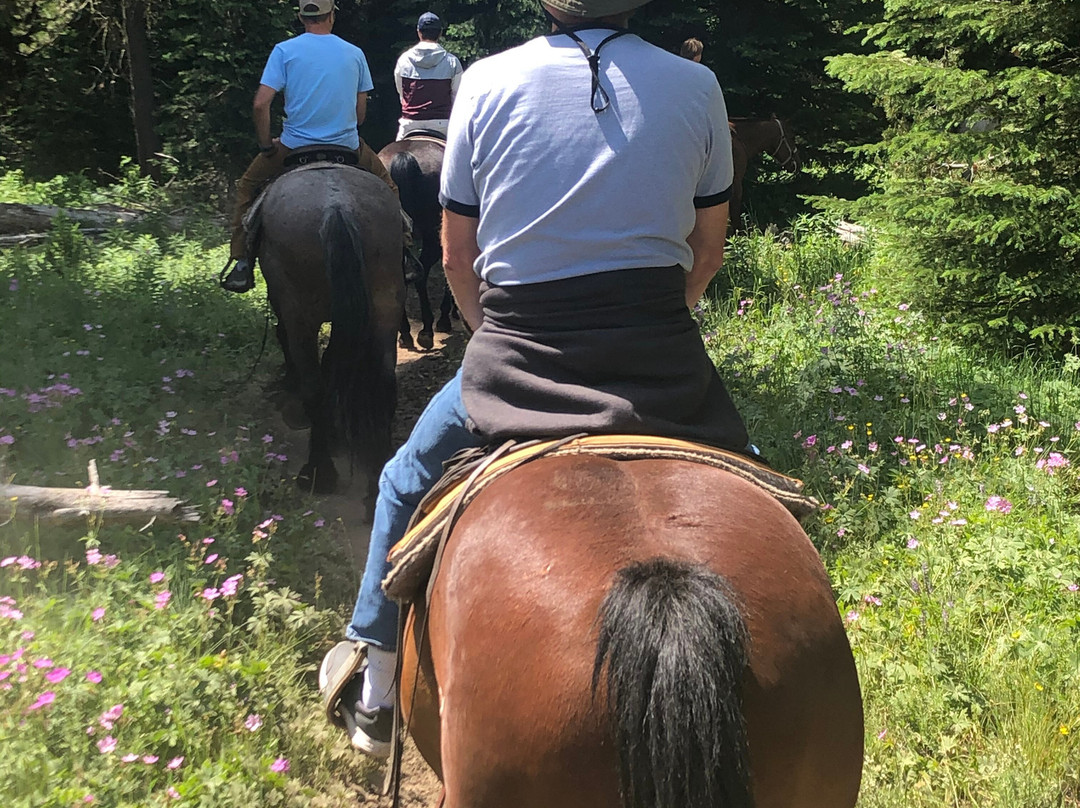 Swift Creek Outfitters & Teton Horseback Adventures景点图片