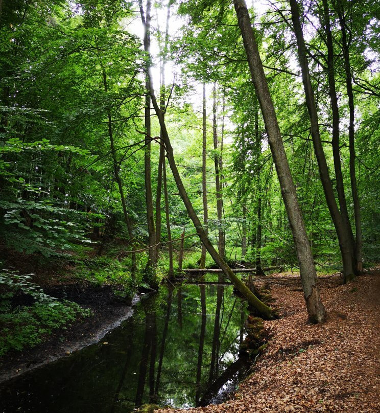 Jezioro Łagowskie-Lagow必去景点