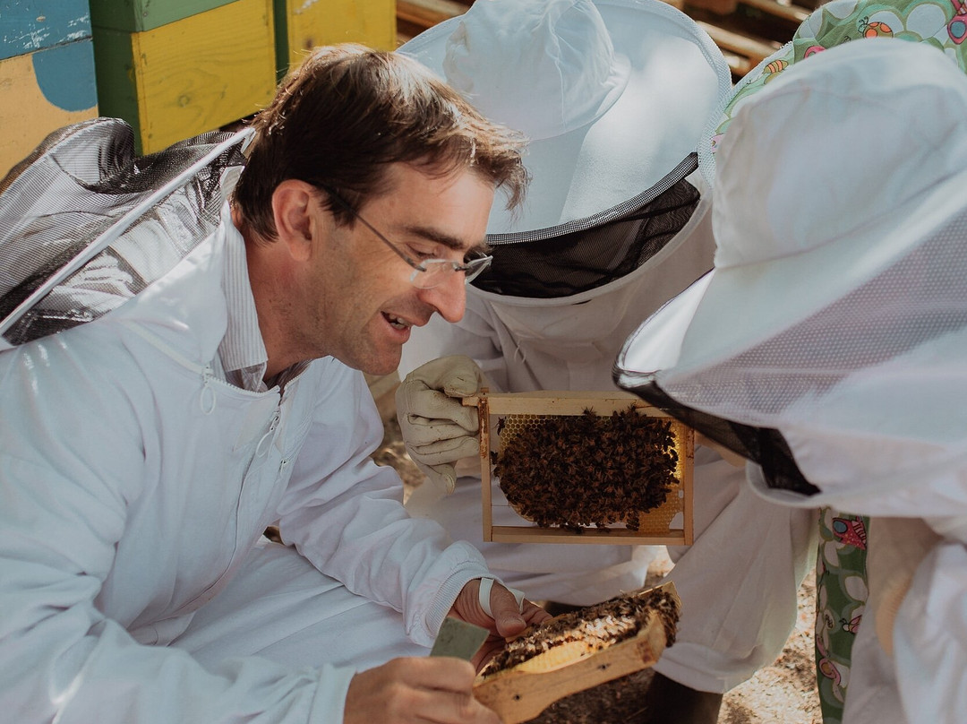 Les abeilles en famille景点图片
