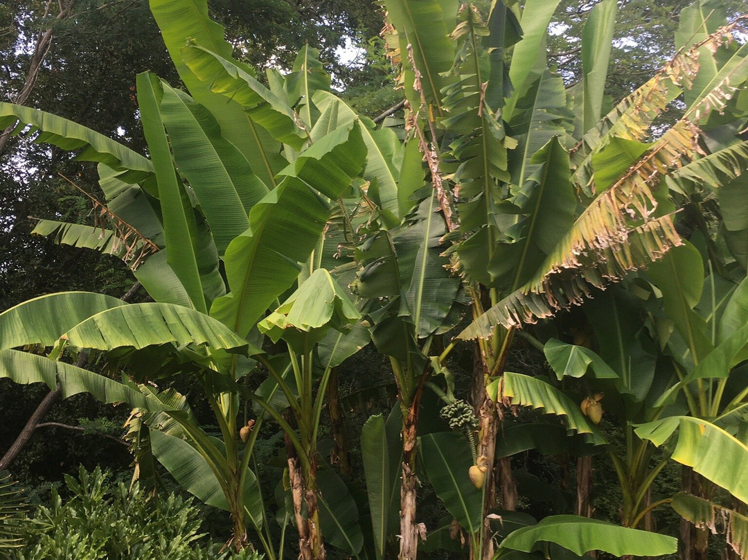 Chambres d'hotes Ladeuix主图