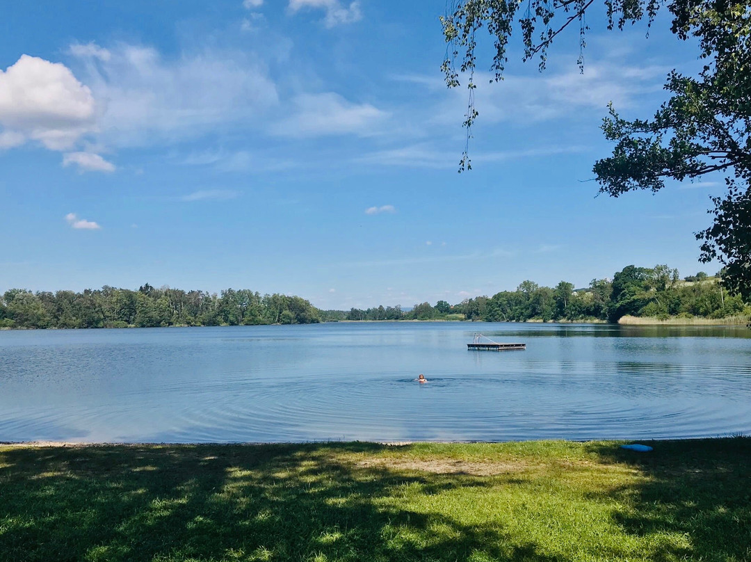 Strandbad Huettwilersee景点图片