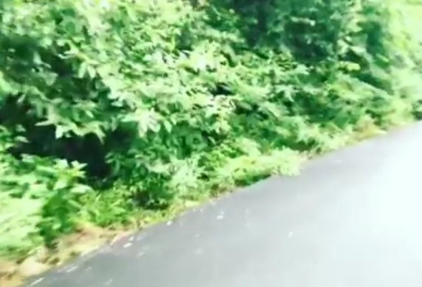 Ordu Yoroz景点图片