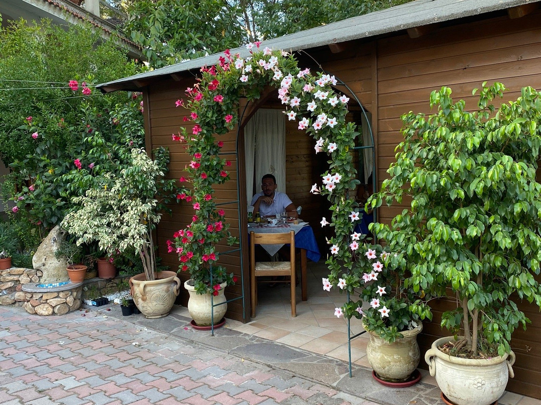 B&B Il Girasole主图