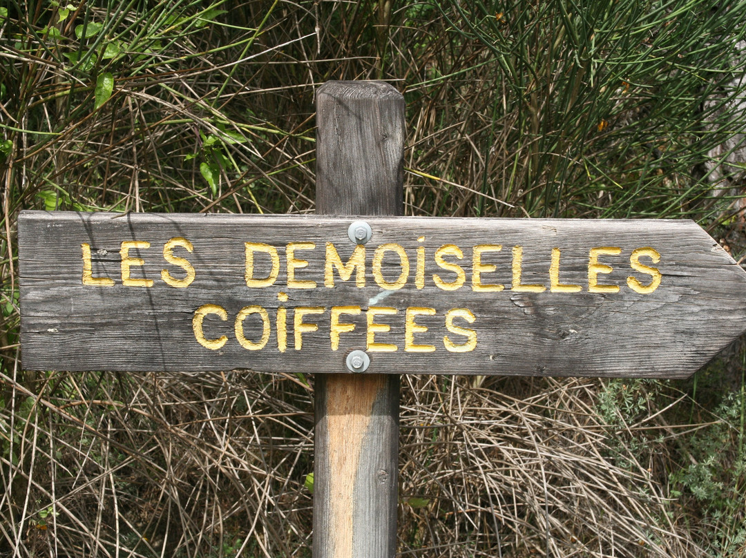La Salle de Bal des Demoiselles Coiffées景点图片