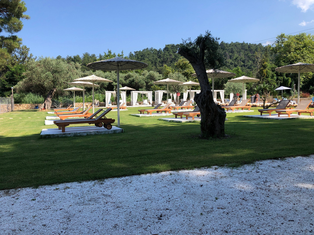 Aroma Beach Hotel主图