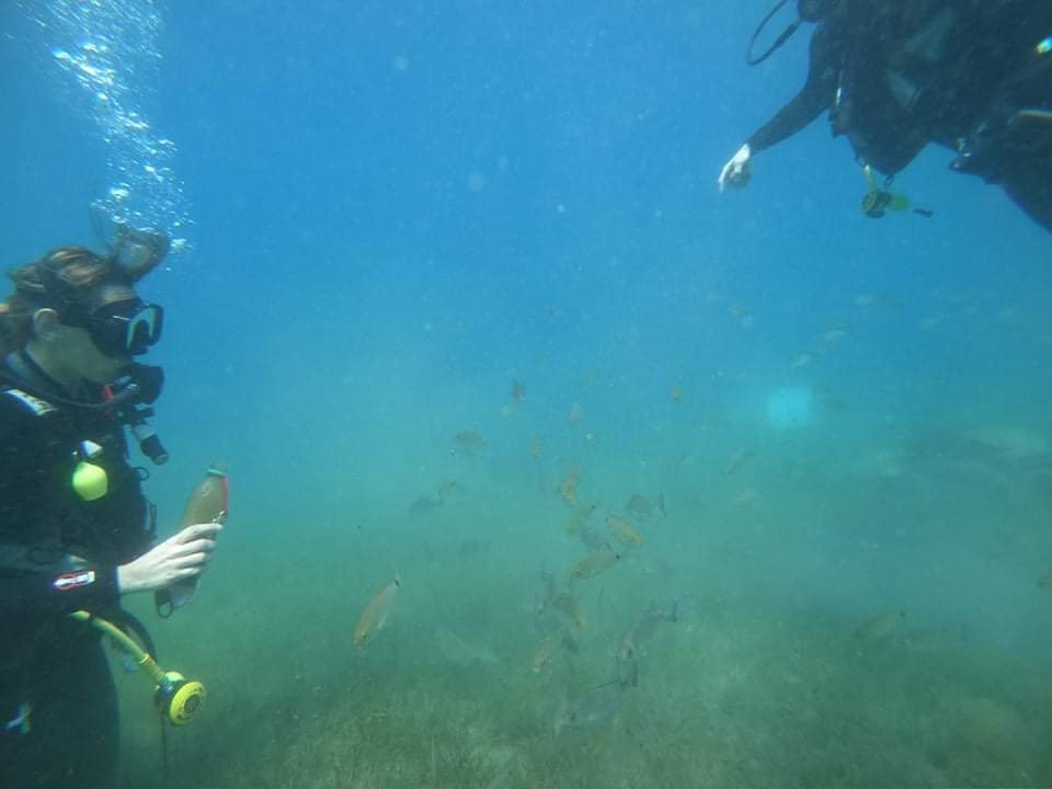 Zoumbosub Diving Center景点图片