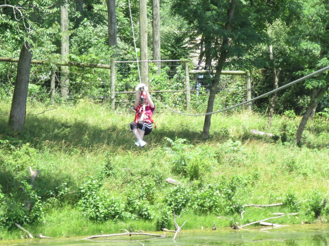 Wild Zipline Safari-Cumberland必去景点