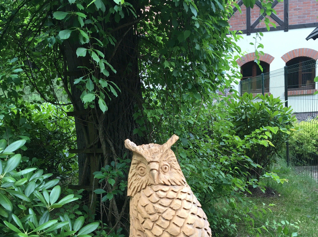Lesne Arboretum Warmii i Mazur-奥尔什丁必去景点