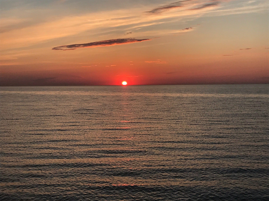 Seebrucke Zingst景点图片