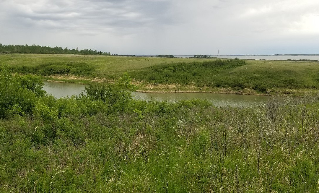 Danielson Provincial Park-Elbow必去景点