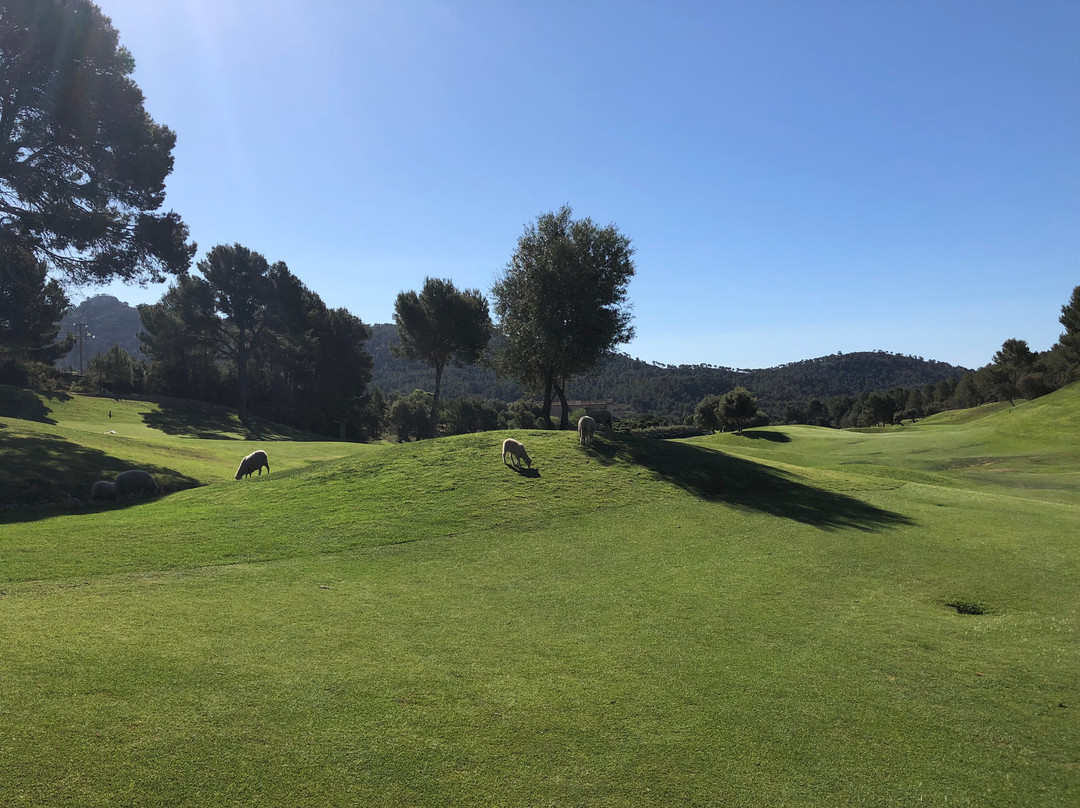 Golf de Andratx景点图片