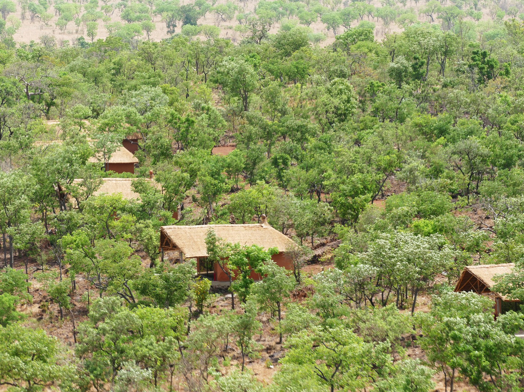 Pendjari Lodge主图