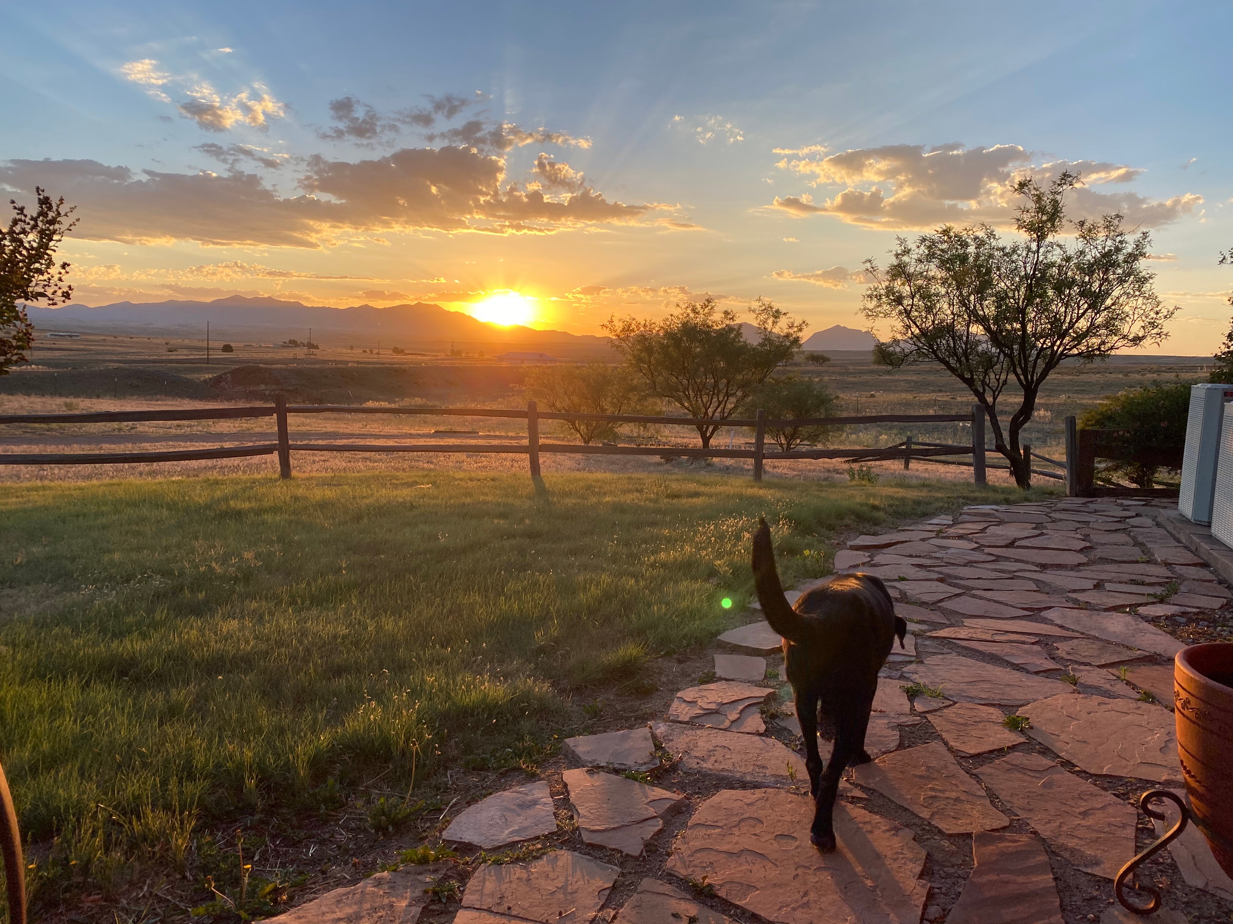 La Hacienda de Sonoita-官方