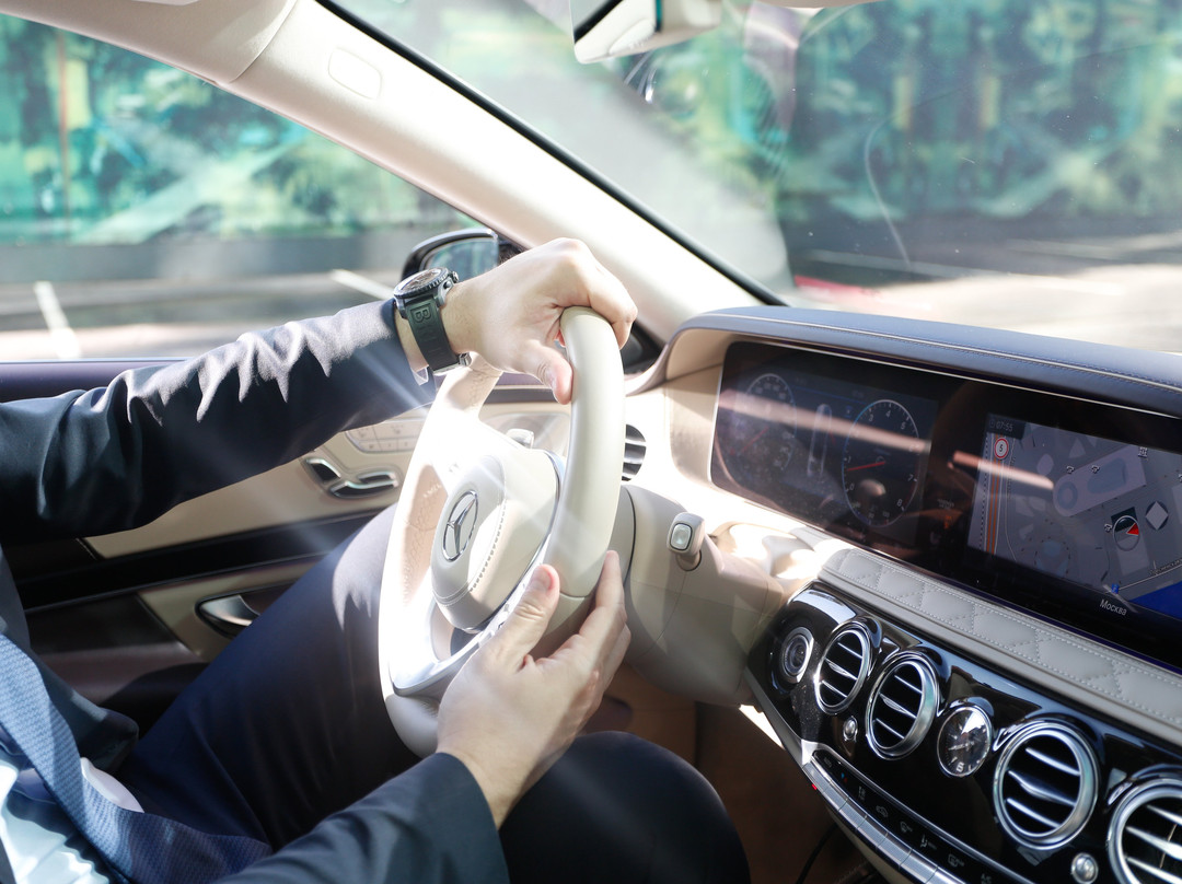 Rent Zeekr 009 with driver-莫斯科必去景点