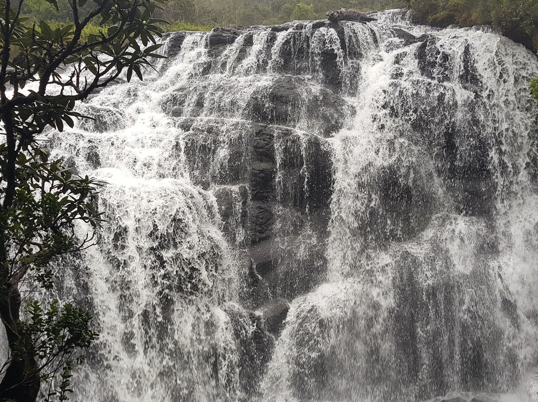 Seasons Travels-斯里贾亚瓦德纳普拉必去景点