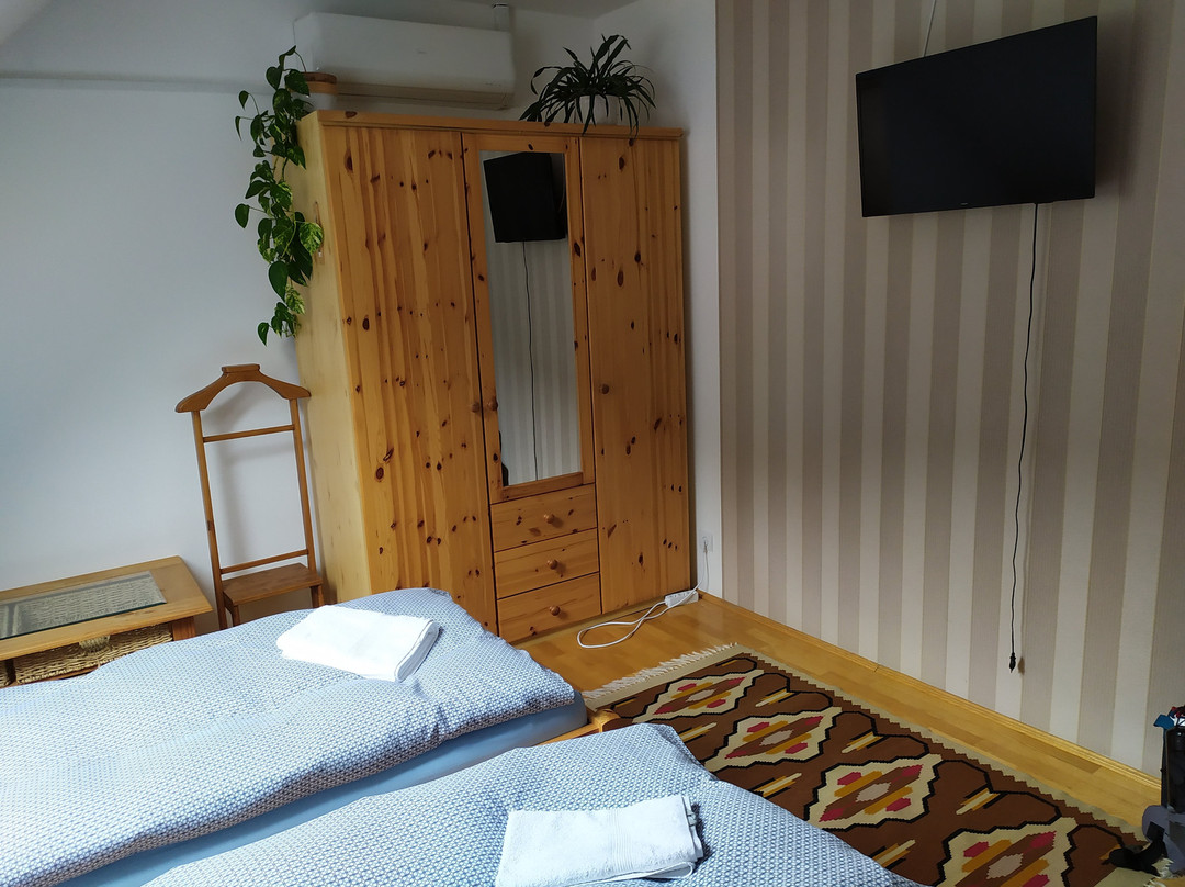 Paulay Winehouse主图