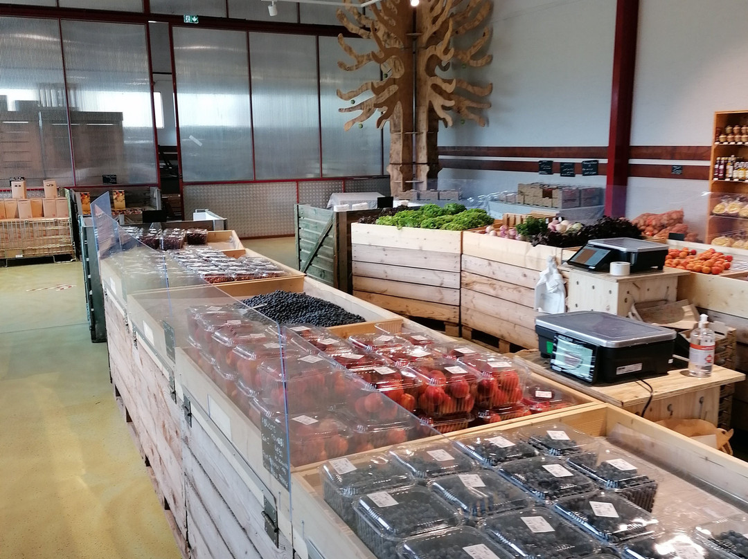 La Pommeraie-Sigolsheim必去景点